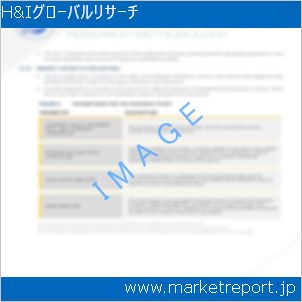 市場と産業調査レポートのイメージ